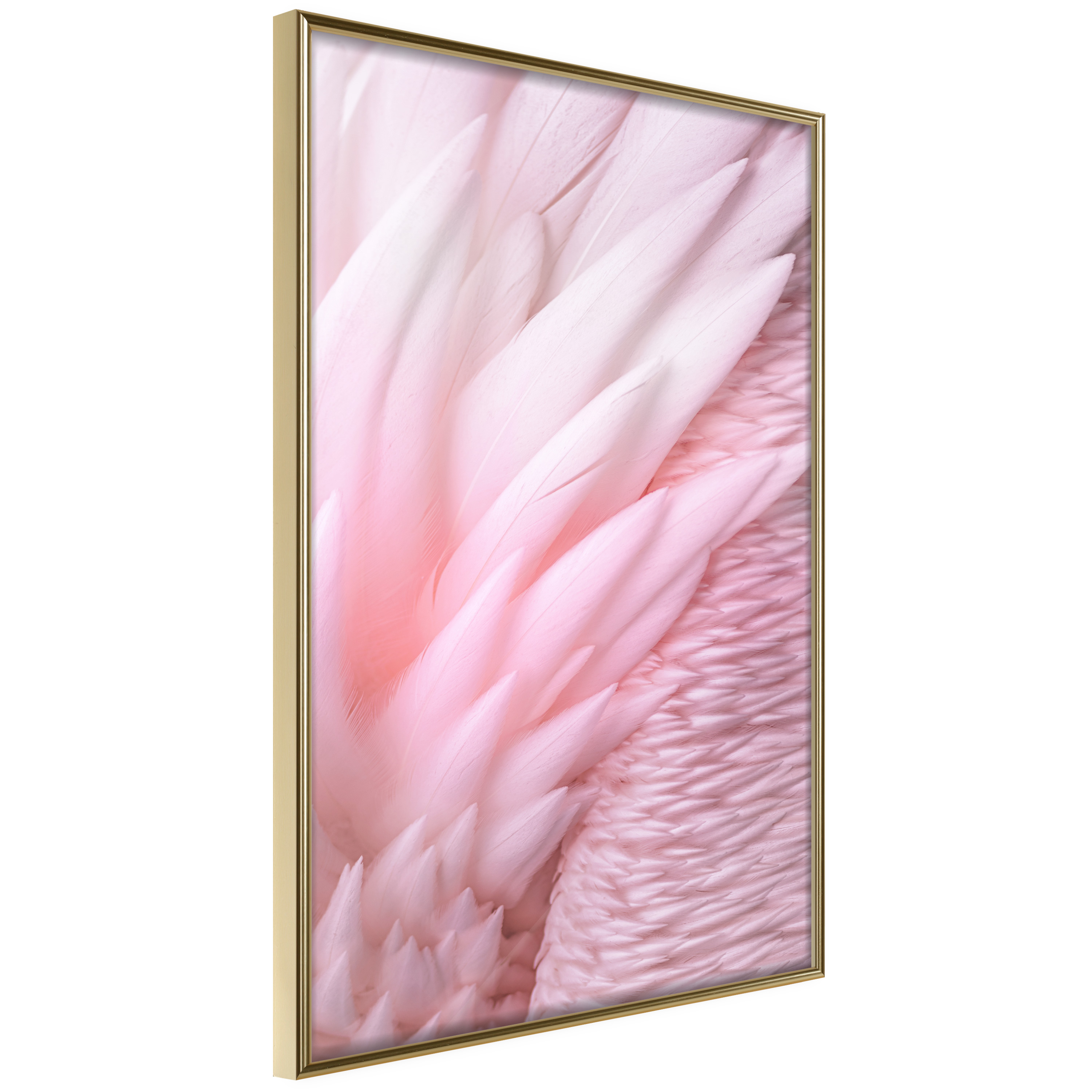 Poster - Pink Feathers - 30x45