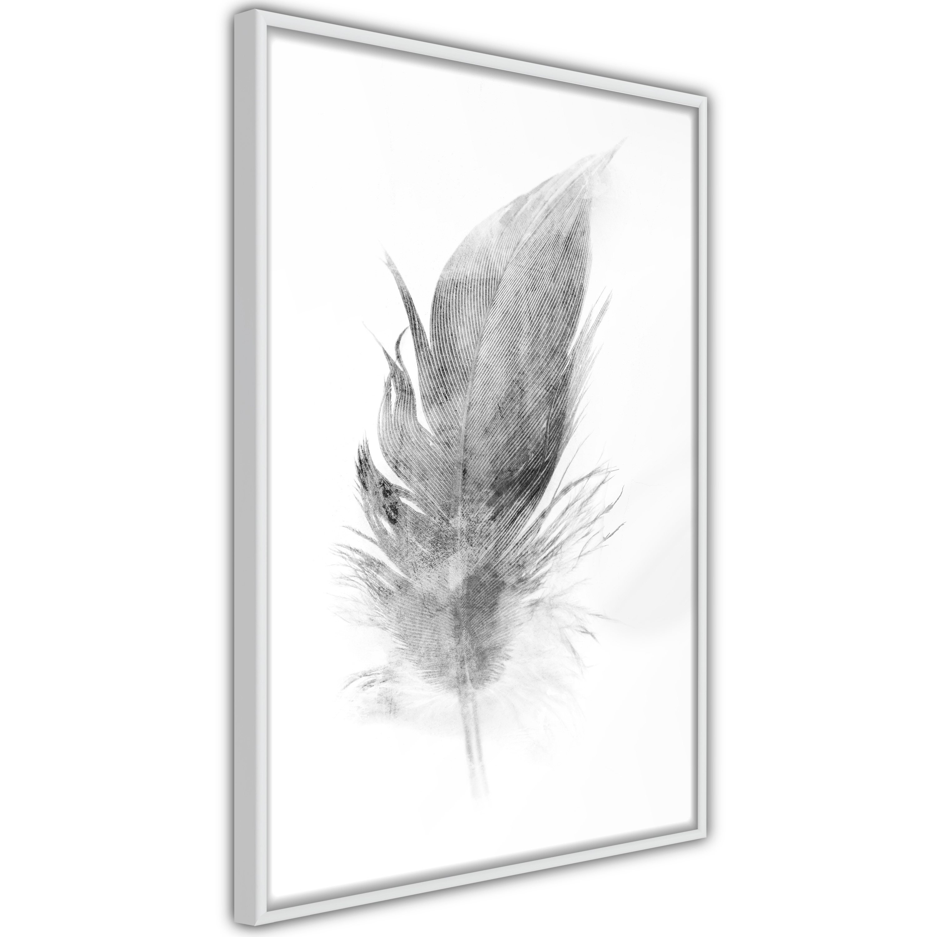 Poster - Lost Feather (Grey) - 30x45