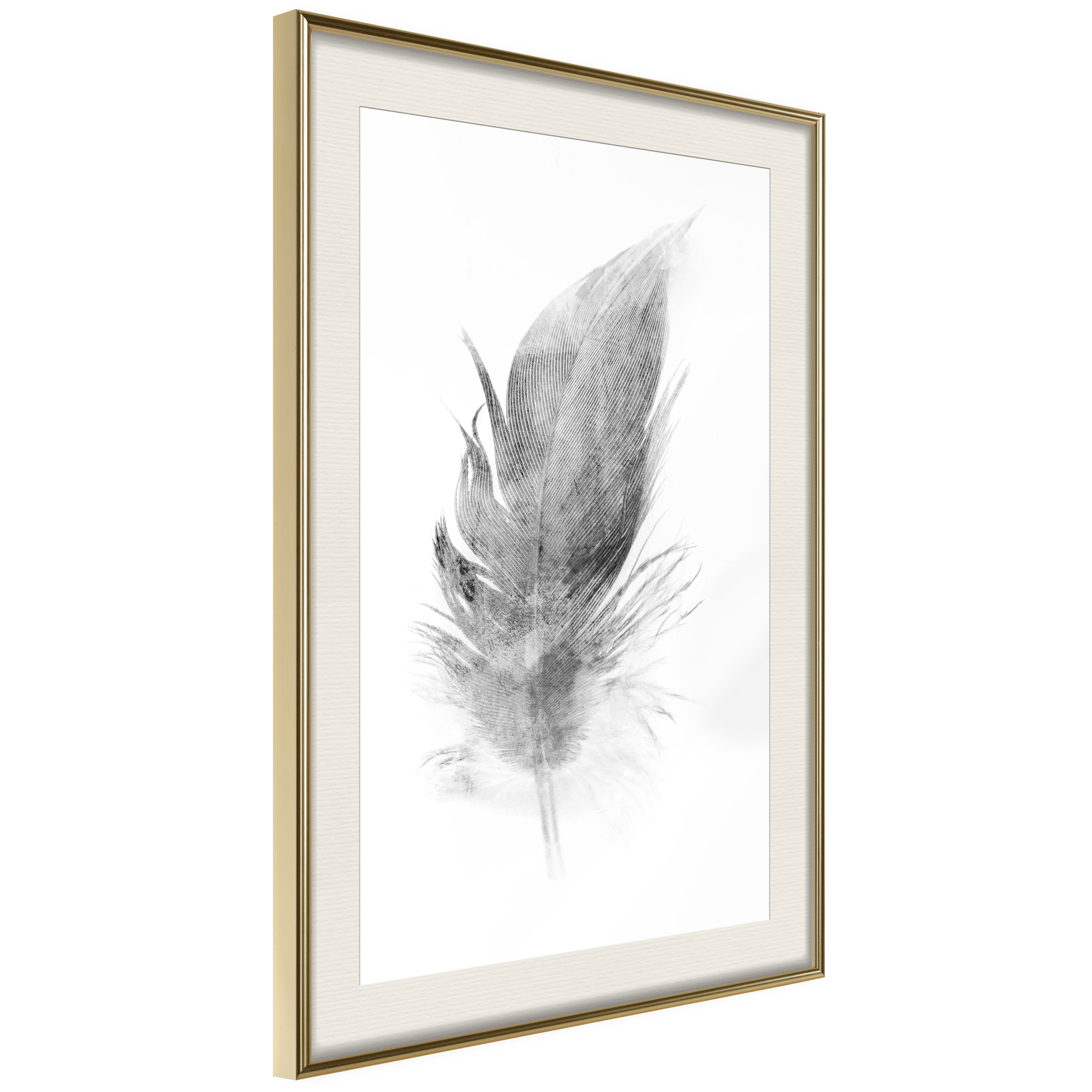 Poster - Lost Feather (Grey) - 40x60
