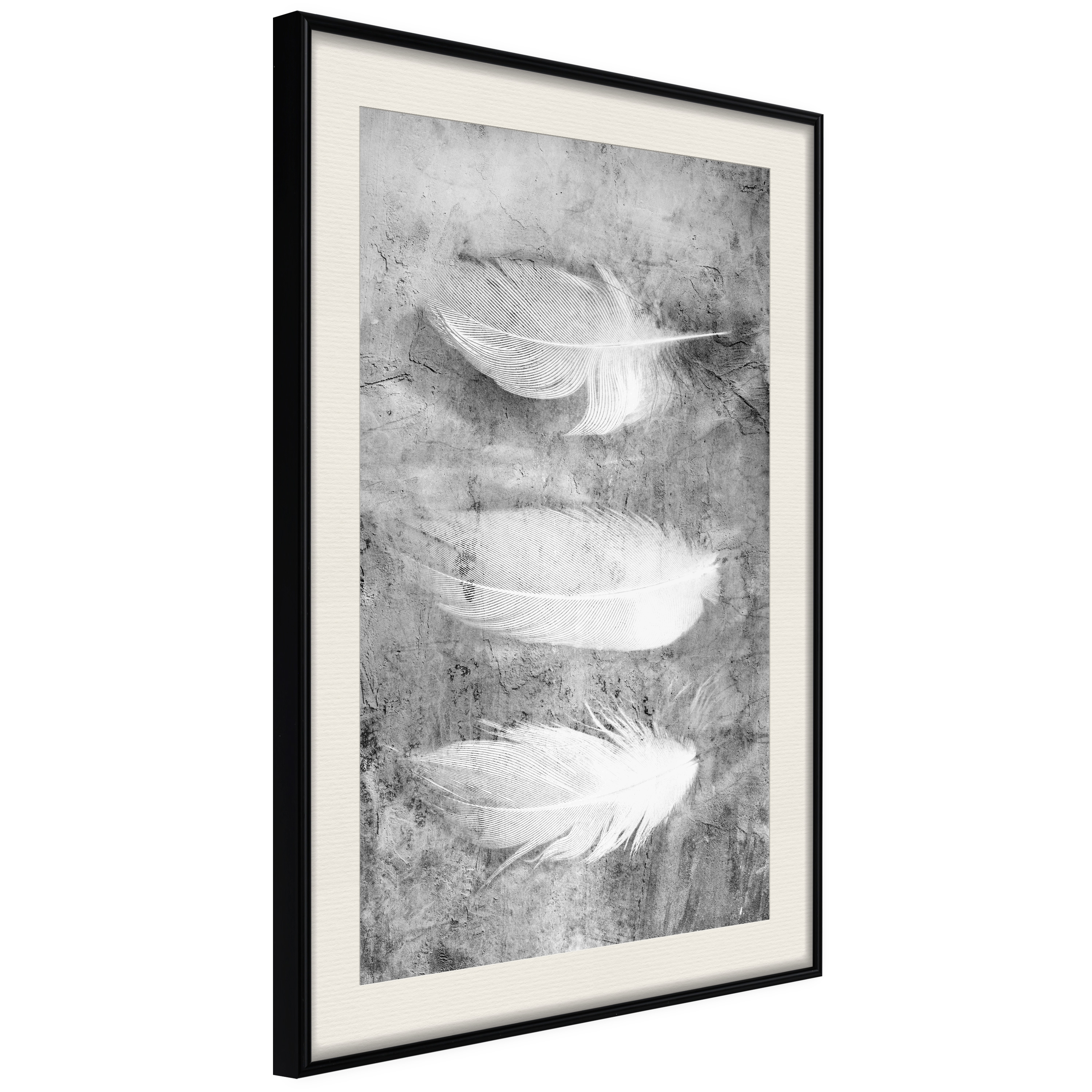 Poster - Delicate Feathers - 30x45
