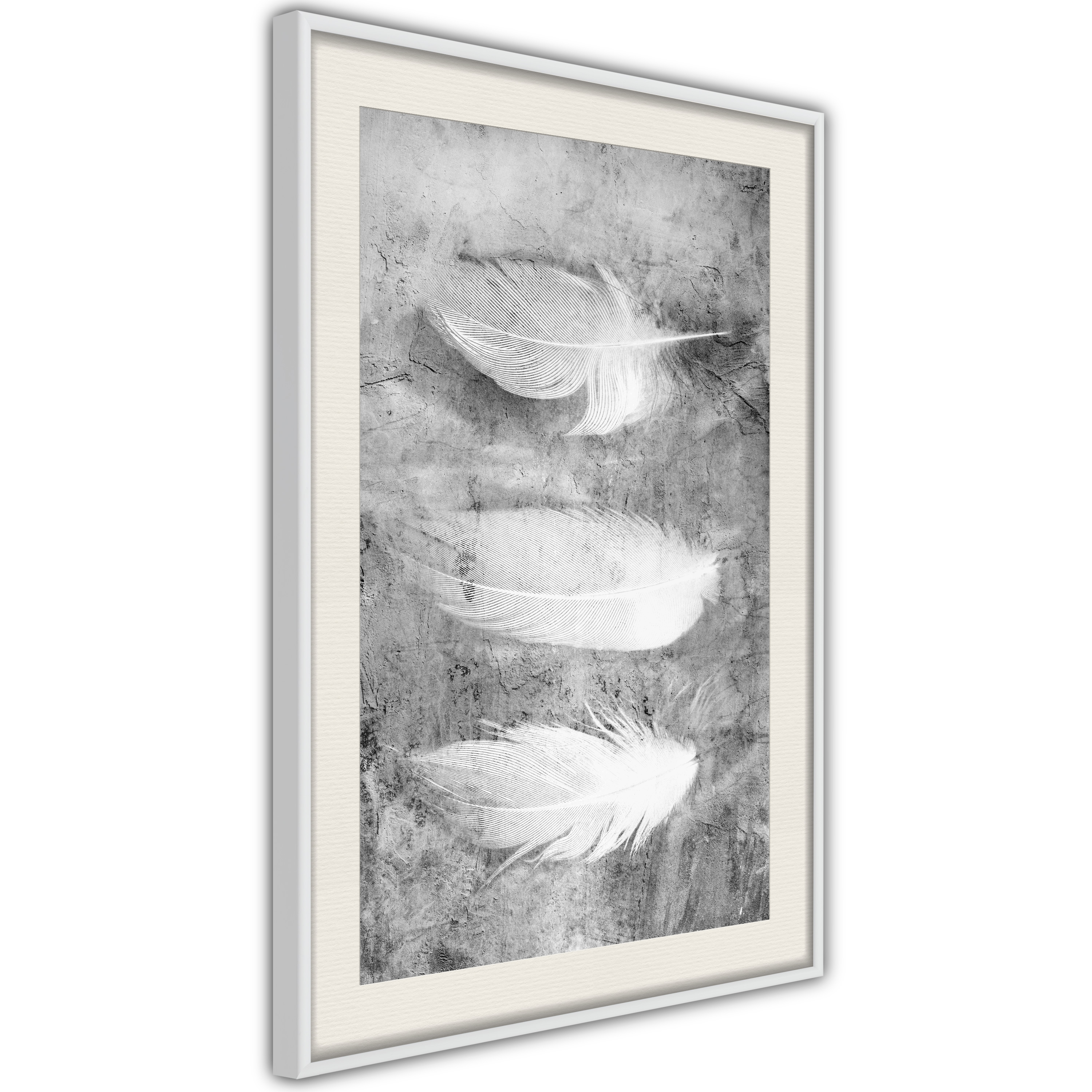Poster - Delicate Feathers - 30x45