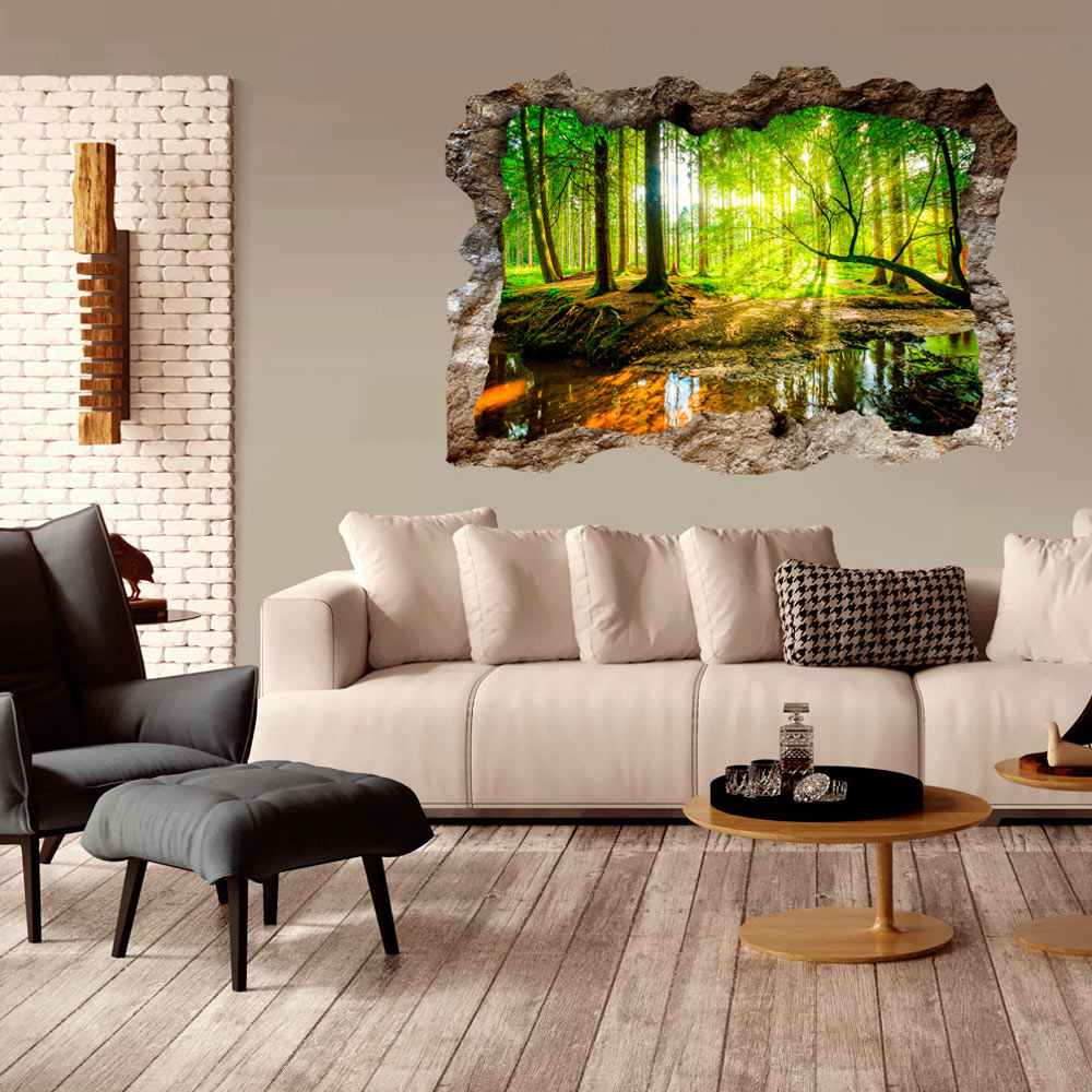 Hole in the Wall 3D Effect Optical Illusion Mural Poster Art Print c-B-0175-t-a